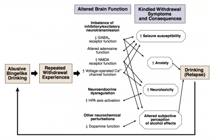 Alcohol Withdrawal Timeline Chart