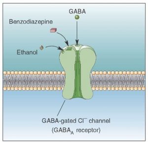 Xanax and gaba receptors